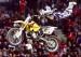 freestylemotocross1.jpg